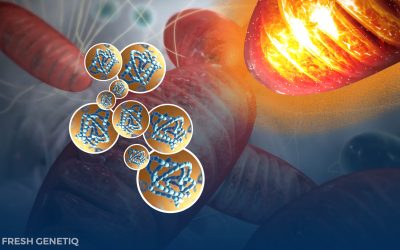 How NAD+ Works In Energy Production