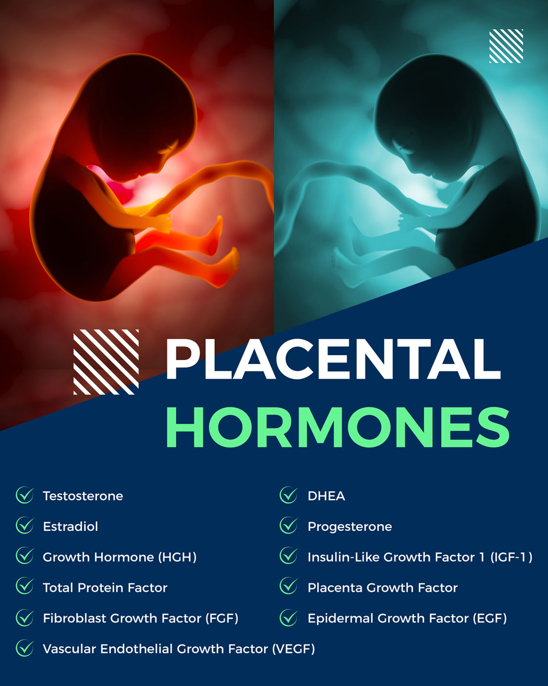 Hormone-Therapy-Clinic-Pattaya-Bangkok Hormone-Therapy-Clinic-Pattaya-Bangkok