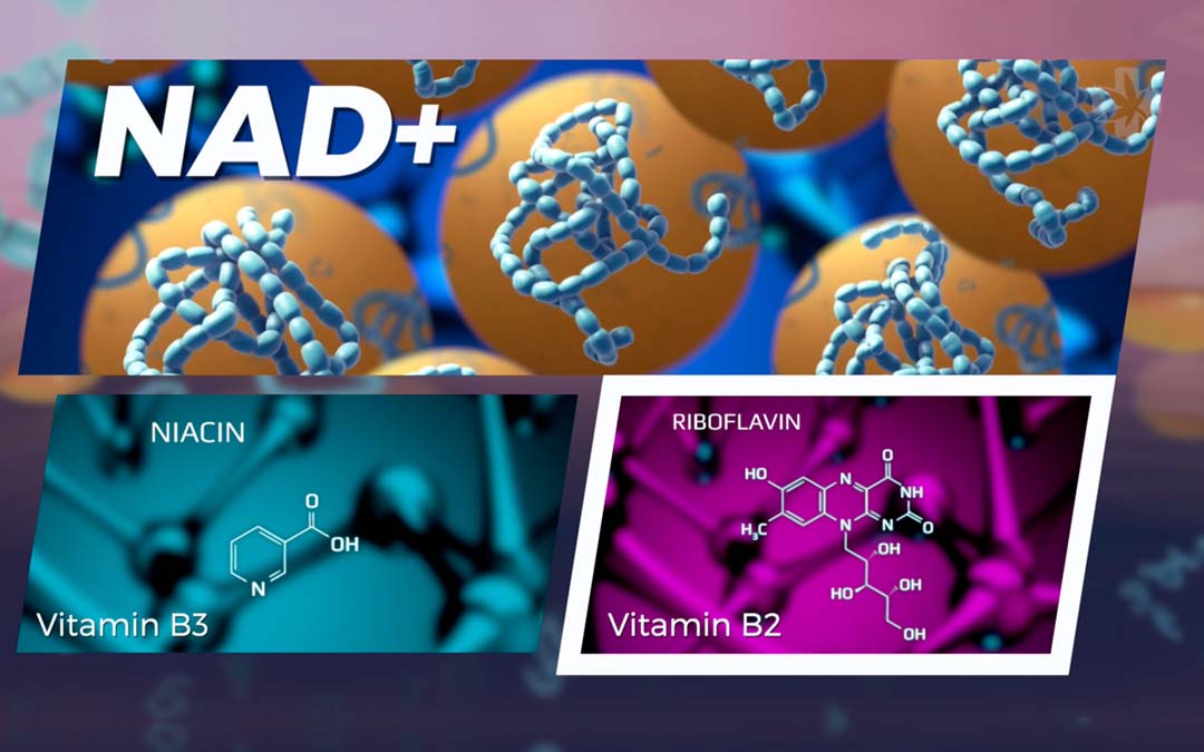 NAD-Energy-Clinic-Bangkok-Pattaya