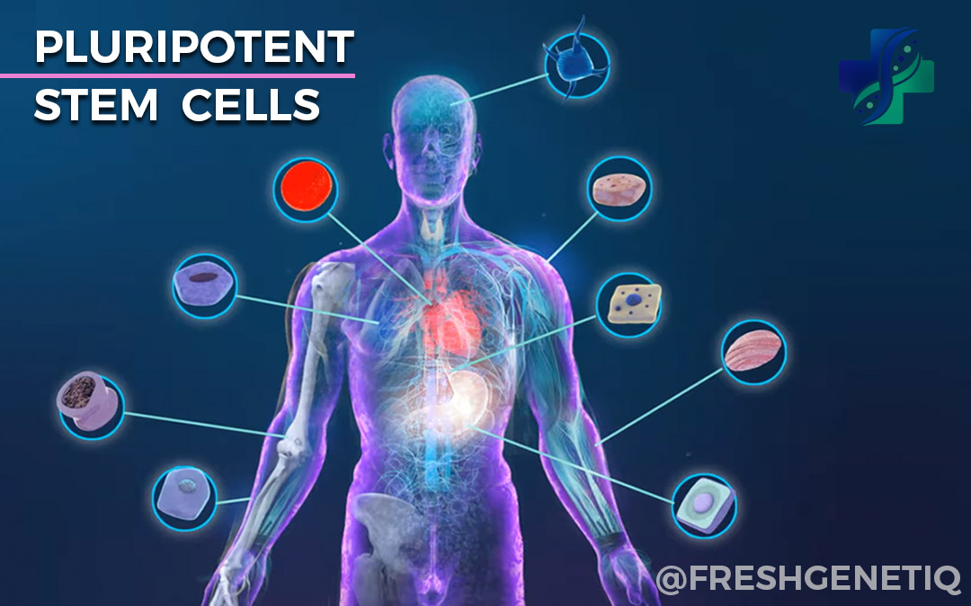 Stem-Cells-Pattaya-Bangkok-Thailand-Clinic