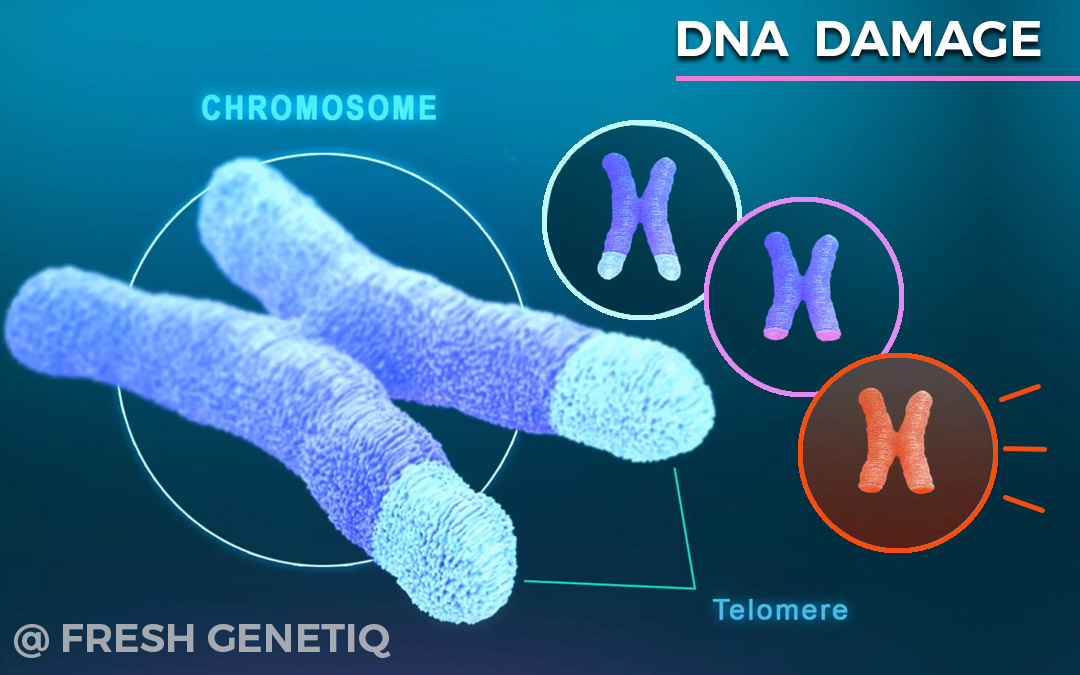 Stem-Cells-Thailand