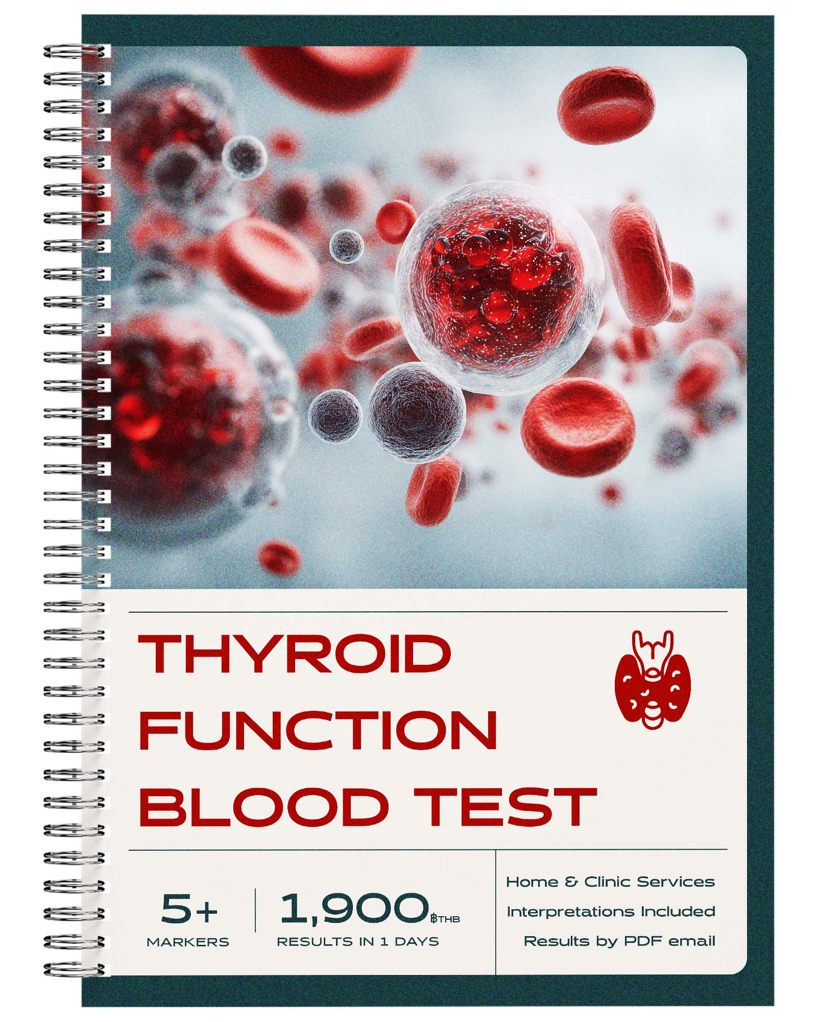 blood-test-thailand-thyroid-function-package