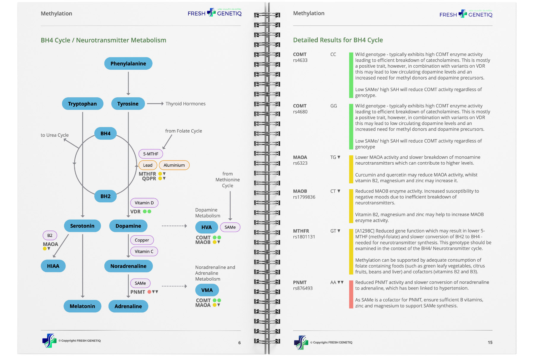 genetic-test-sample-report-raw-dna genetic-test-sample-report-raw-dna