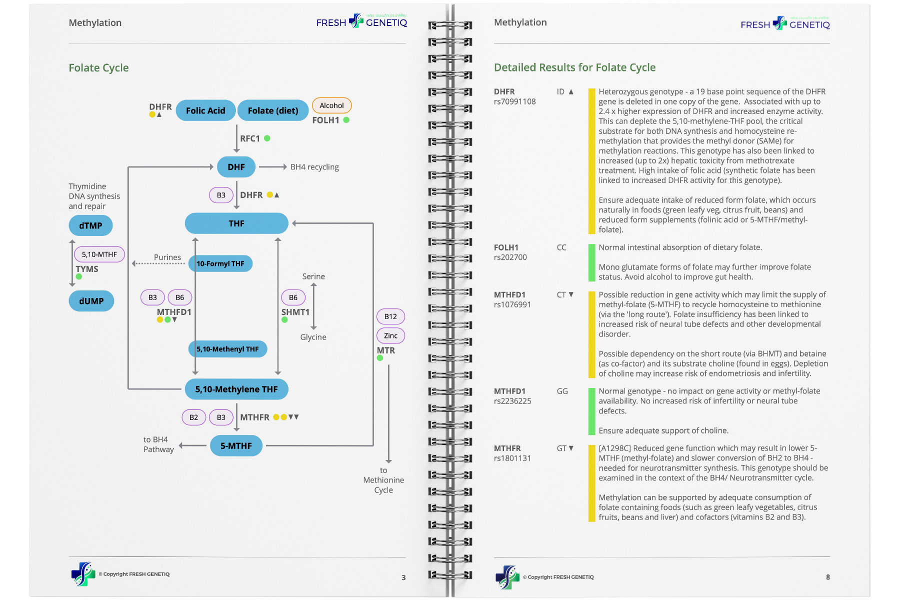 genetic-test-sample-report genetic-test-sample-report