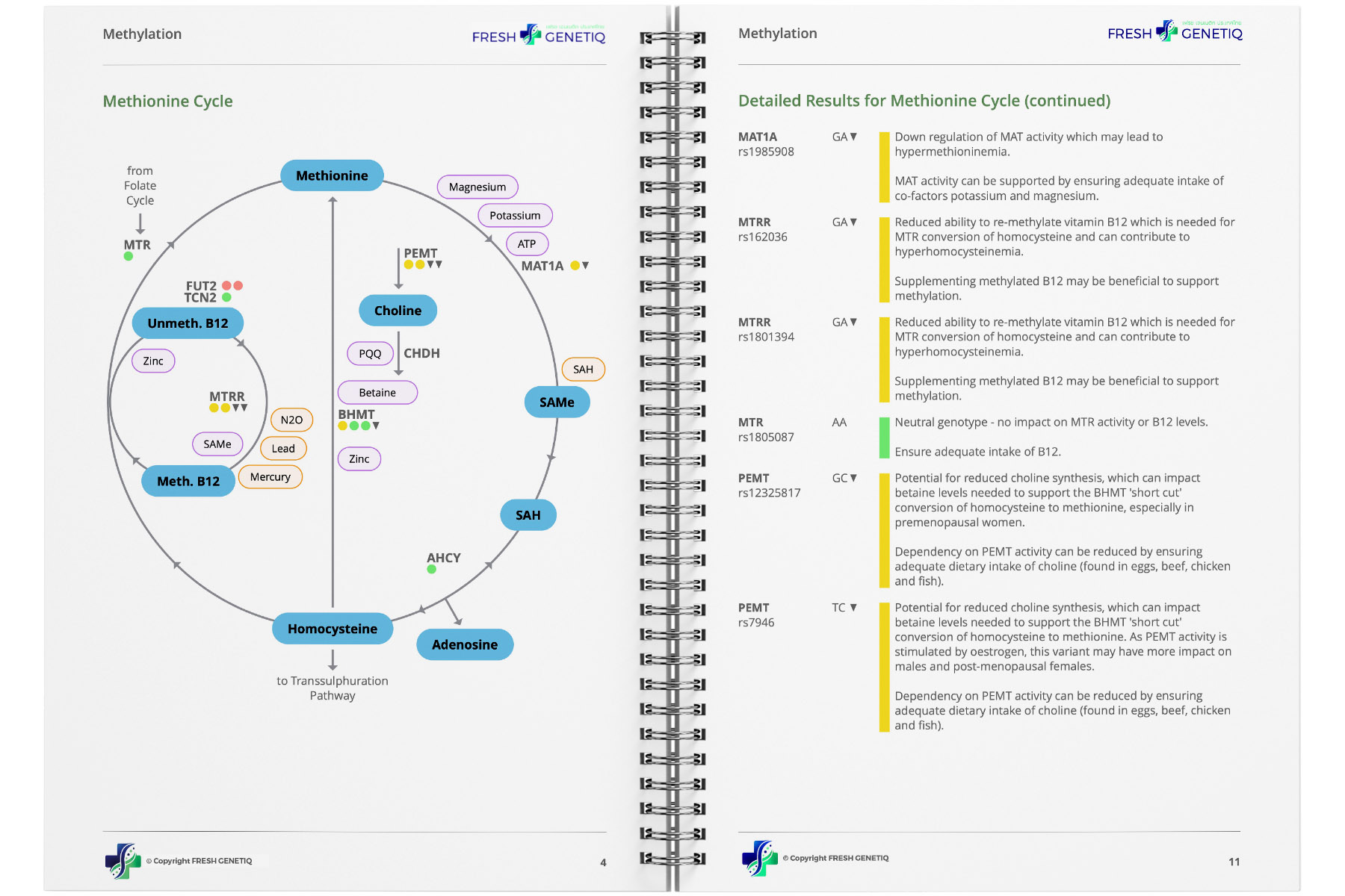 genetic-test-sample genetic-test-sample