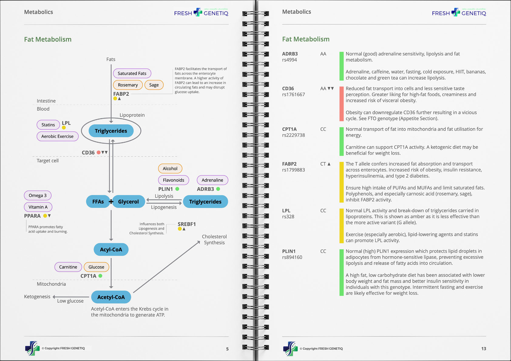genetic-metabolism-test-dna-sample genetic-metabolism-test-dna-sample