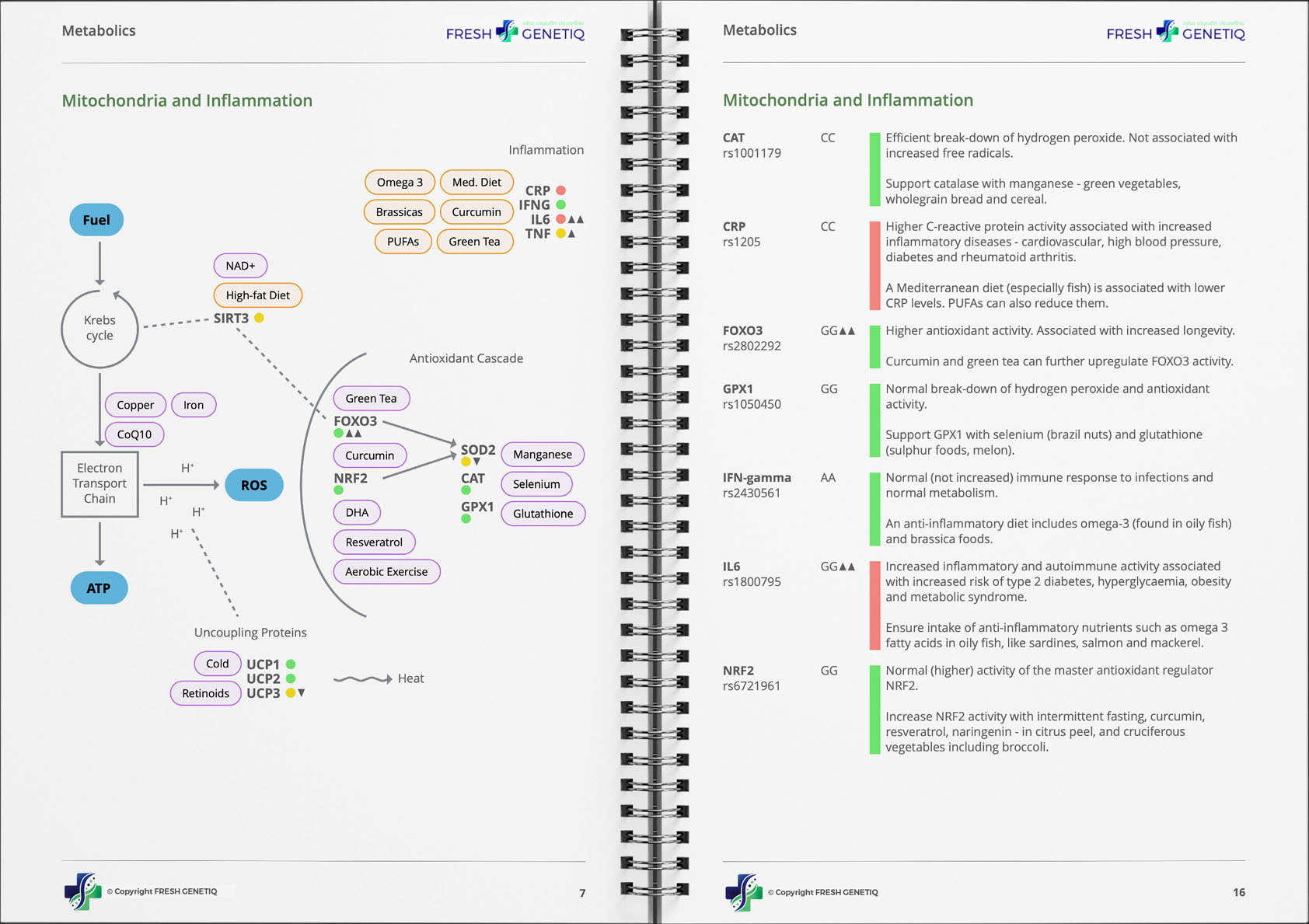 genetic-metabolism-test-sample-dna genetic-metabolism-test-sample-dna
