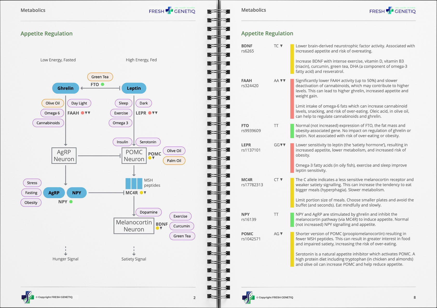 genetic-metabolism-test-sample genetic-metabolism-test-sample