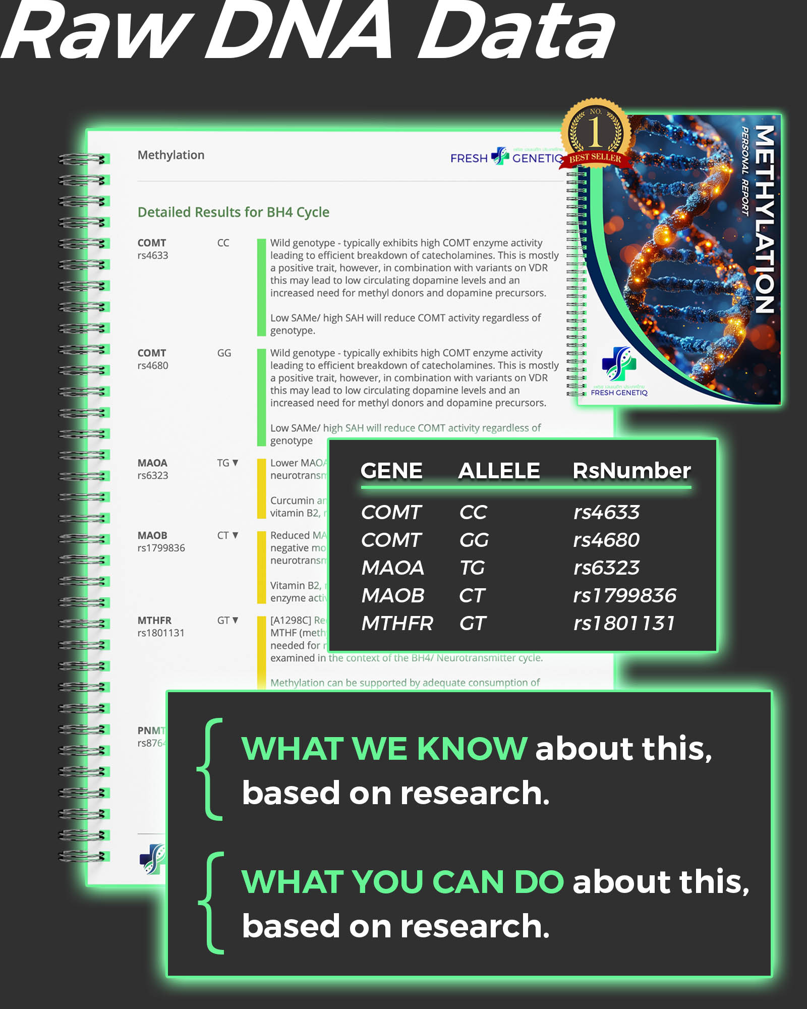 raw-dna-data-report-genes-alleles-rs-numbers raw-dna-data-report-genes-alleles-rs-numbers