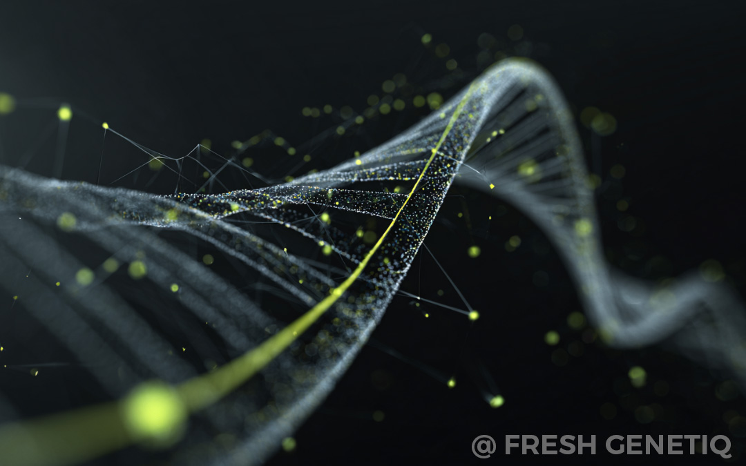 genetic-testing-personalized-health-roadmap