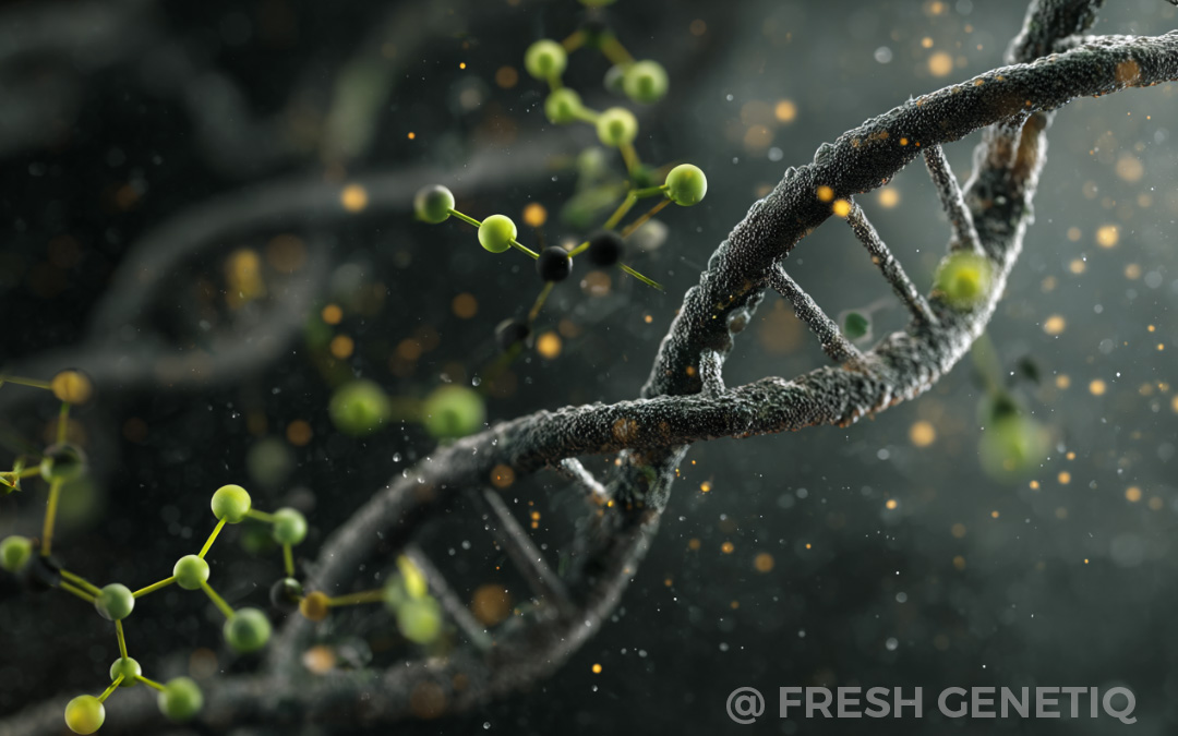 raw-dna-proteins-peptides