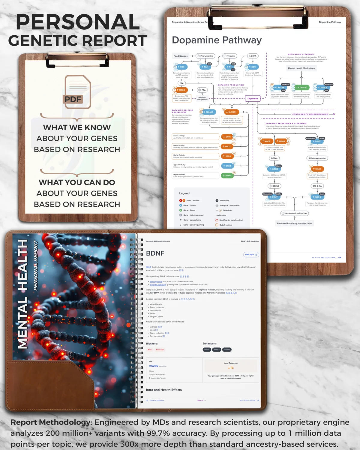 Genetic Test Mental Health Report
